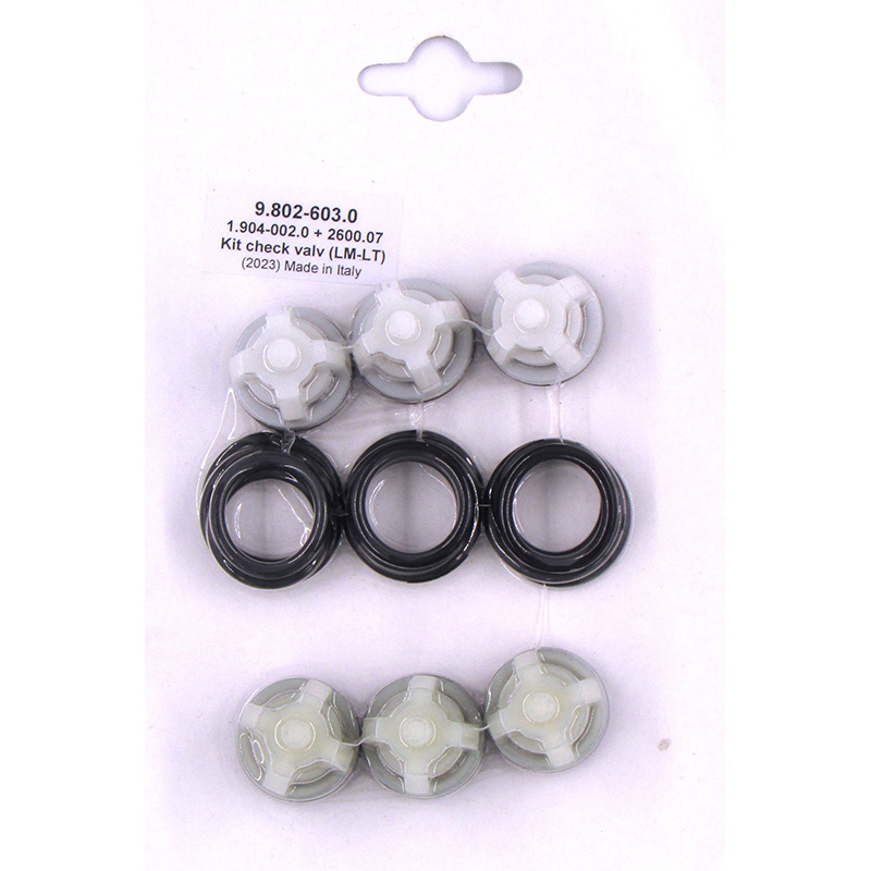ヘアゴム No.81 Landa 9.802-603.0 - Pump Valve Rebuild Kit - OEM Parts